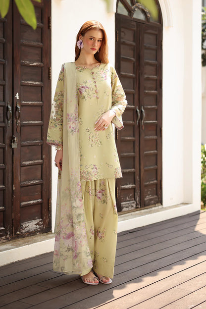 QA-523 Printed Lawn