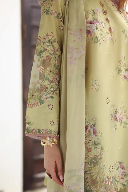 QA-523 Printed Lawn