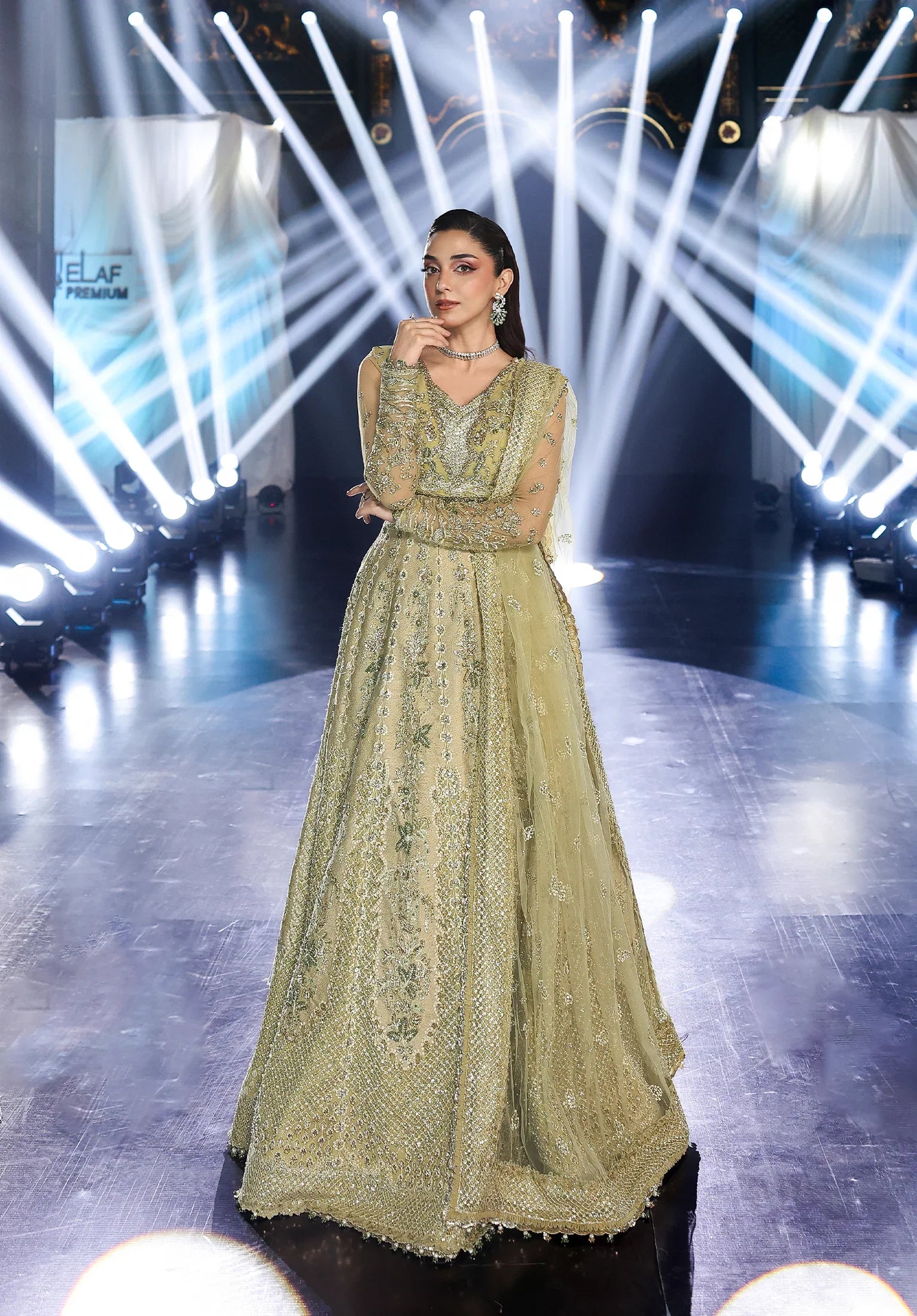 Another front image of beautiful  MINT MAJESTY.